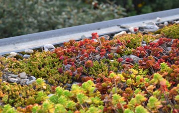 the cost of High Eggborough green roof installation