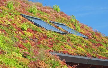 High Eggborough living roof systems